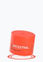 ANCESTRAL MASCARILLA - LA POCIÓN