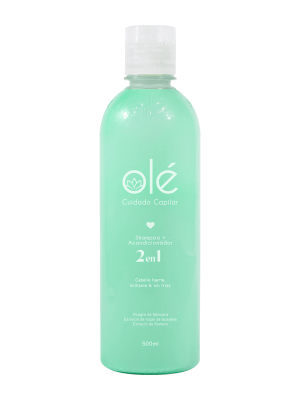 SHAMPOO DUAL 2 EN 1 - OLÉ