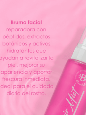 Pagina-web-2-1-4