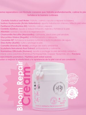 Pagina-web-2-4-3
