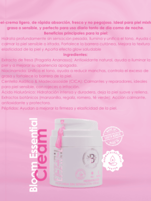 Pagina-web-2-5-2