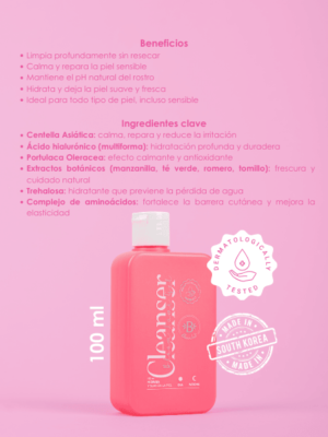 Pagina-web-2-6-2